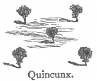 quincunx pattern